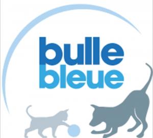 Bulle bleue