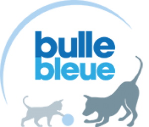 Bulle bleue