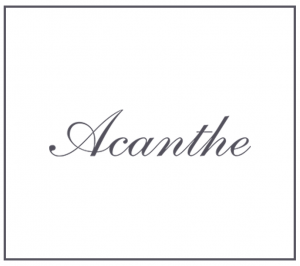 Acanthe