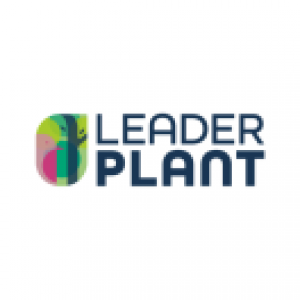 Leaderplant