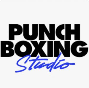 Punch Boxing