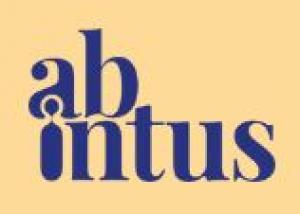 Abintus