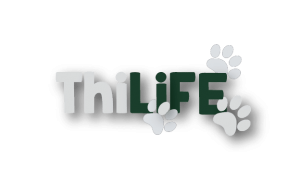 ThiLIFE