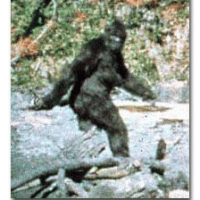 Bigfoot