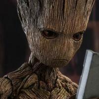 JeSappelleGroot