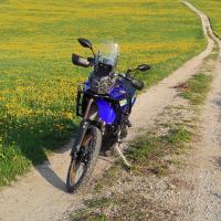 julien4077