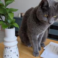 profil du parrain AureliaCA