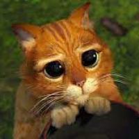 Petit-chat