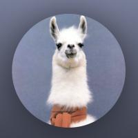 Llama
