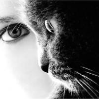 Virginie B.