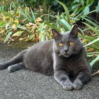 profil du parrain JolieBelle