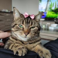 profil du parrain ✅Jimmy