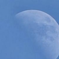 profil du parrain Fredlaca