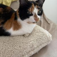 profil du parrain Mel