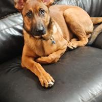 profil du parrain Thierry