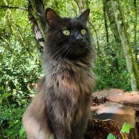 profil du parrain CLAIRELBS