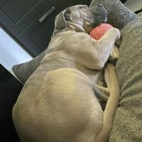 profil du parrain Clement.B