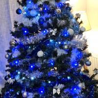 profil du parrain Cerise