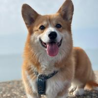 profil du parrain Kero