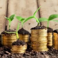 profil du parrain Lau-ik