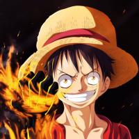 profil du parrain Monkey D.