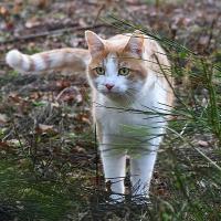 profil du parrain HENRY35