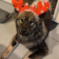 profil du parrain Ony