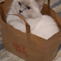 profil du parrain Laeti-33