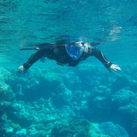 profil du parrain rosita