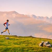 profil du parrain Jess