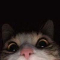 profil du parrain camilleLopi