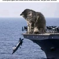 profil du parrain Mila99