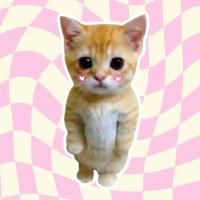 profil du parrain gaelledms