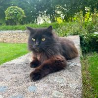 profil du parrain argev