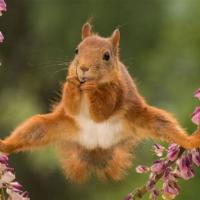 profil du parrain Rems