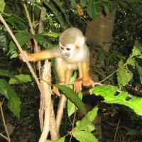 profil du parrain LG