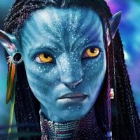 profil du parrain Ley