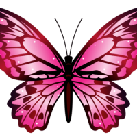 profil du parrain Butterfly