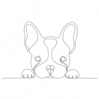 profil du parrain sth