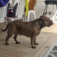 profil du parrain Micka71