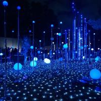 profil du parrain Whine