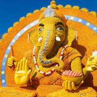 profil du parrain mopl