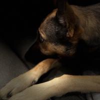 profil du parrain Romain30