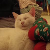 profil du parrain Imane