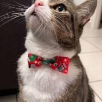 profil du parrain Lucky66