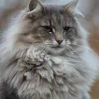 profil du parrain Edouard