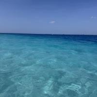 profil du parrain Vanlocke