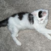 profil du parrain Celkara