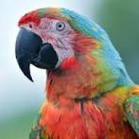 profil du parrain angietwist19