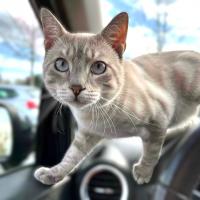 profil du parrain Titounette